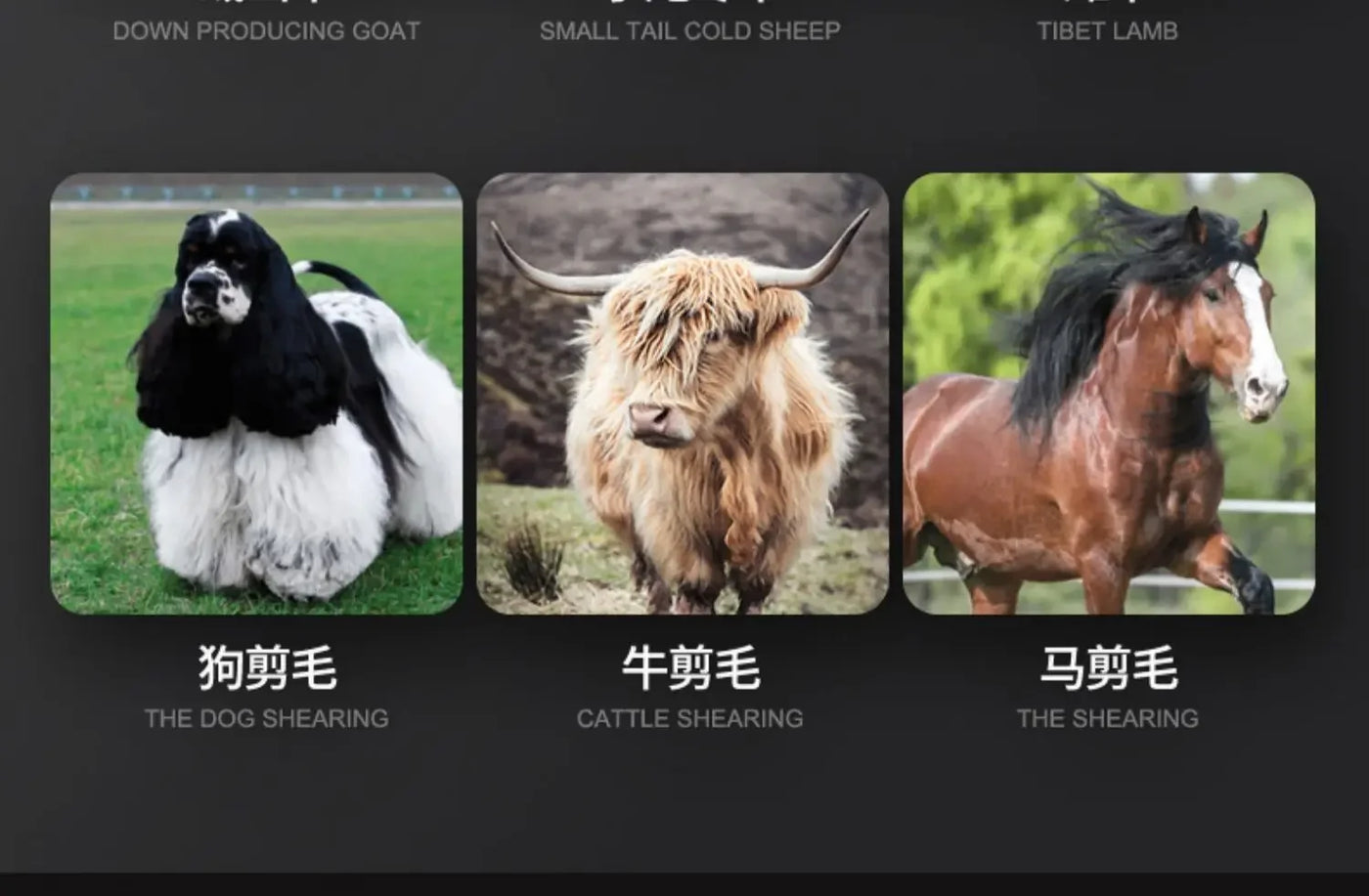 Wireless Electric Sheep Shears Lithium Battery Clipper with Charger for Shearing Sheep, Goats and Other Farm Animals