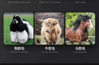 Wireless Electric Sheep Shears Lithium Battery Clipper with Charger for Shearing Sheep, Goats and Other Farm Animals