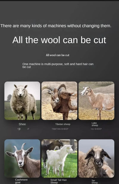 Wireless Electric Sheep Shears Lithium Battery Clipper with Charger for Shearing Sheep, Goats and Other Farm Animals