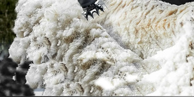 Wireless Electric Sheep Shears Lithium Battery Clipper with Charger for Shearing Sheep, Goats and Other Farm Animals